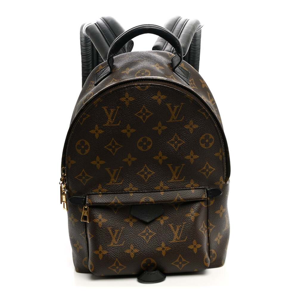 Louis Vuitton Palm Springs Backpack Pm #321905L13B